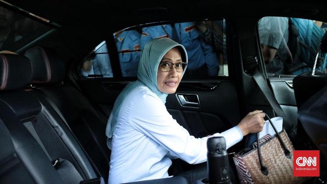 PLN Belum Bisa Pastikan Pohon Sengon Penyebab Padam Listrik