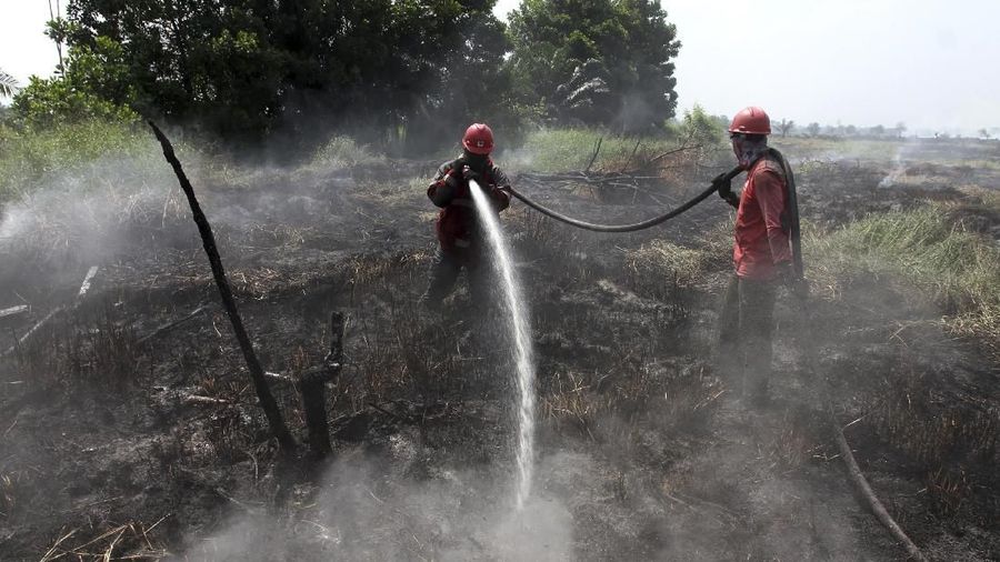 Presiden Jokowi sempat mengancam soal pemecatan petinggi TNI dan Polri soal kebakaran hutan dan lahan yang masih terjadi.