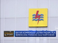 Bayar Kompensasi, PLN Pangkas Gaji Karyawan