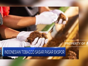 Langkah Gesit Produsen Rokok Jajal Pasar India & China
