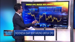 Sepak Terjang Biodiesel Tanah Air Penuh Tantangan