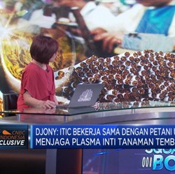 Indonesian Tobbaco Siap Tembus Pasar China Dan India
