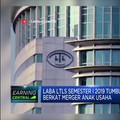 Laba Bersih Lautan Luas (LTLS) 2022 Naik 17% Jadi Rp 321 M