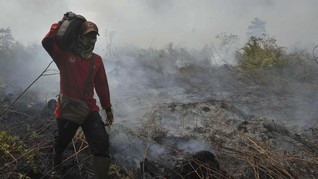 Satu Perusahaan Perkebunan di Jambi Disegel Akibat Karhutla