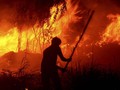 Malaysia Temukan 46 Titik Api di Kalimantan dan Sumatera