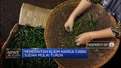 Musim Kemarau Harga Cabai Makin Pedas