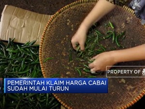 Musim Kemarau Harga Cabai Makin Pedas