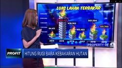 Hitung Rugi Bara Kebakaran Hutan