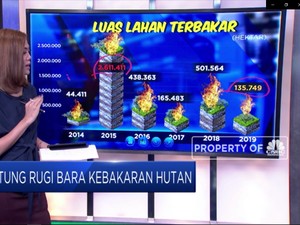 Hitung Rugi Bara Kebakaran Hutan