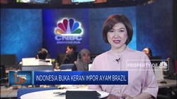 Pemerintah Buka Keran Impor Ayam Brazil