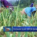 Dugaan Suap Impor Bawang Putih