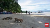 Pulau Bunaken memiliki banyak lokasi untuk menyelam atau snorkeling, tapi pantai di pulau ini juga merupakan tempat yang asik untuk bersantai.