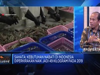 Jasindo  Dorong Pertumbuhan Industri Perikanan Kecil