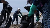 Warga membantu mengumpulkan ceceran minyak mentah di Pantai Mekarjaya, Karawang, Jawa Barat, Kamis (8/8/2019). (ANTARA FOTO/Sigid Kurniawan/ama)