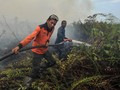 BPBA Sebut 99 Persen Karhutla di Aceh sudah Padam