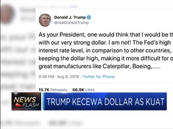 Dollar AS Kuat, Trump Justru Kecewa