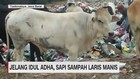 VIDEO: Jelang Idul Adha, Sapi Sampah Laris Manis