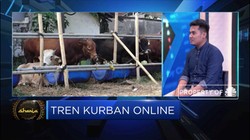 Ecoqurban : Harga Hewan Kurban Online Lebih Murah 30%