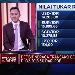 Defisit Transaksi Berjalan Q2-2019 Bengkak Jadi 3%