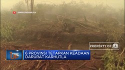 6 Provinsi Tetapkan Keadaan Darurat Karhutla
