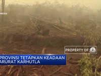6 Provinsi Tetapkan Keadaan Darurat Karhutla