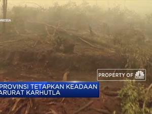 6 Provinsi Tetapkan Keadaan Darurat Karhutla