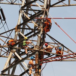 Perhatian! PLN Buka Lowongan 3.400 Orang, Ini Posisinya