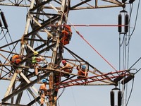Perhatian! PLN Buka Lowongan 3.400 Orang, Ini Posisinya
