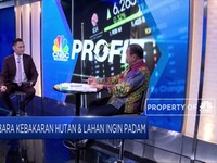 Wah! 99% Penyebab Kebakaran Hutan Karena Disengaja
