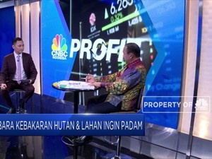 Wah! 99% Penyebab Kebakaran Hutan Karena Disengaja