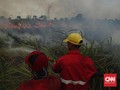 Sehari 353 Titik Api di Sumsel, Terbanyak Sepanjang 2019