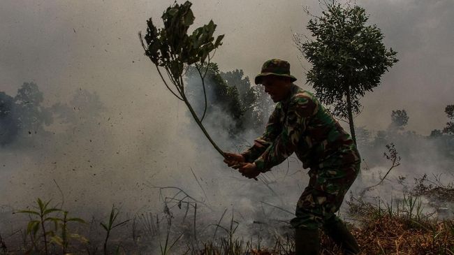 Pemerintah Segel 19 Konsesi di Kalbar Terkait Karhutla
