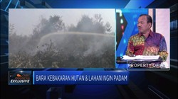 Musim Kemarau, 6 Provinsi Siaga Darurat Kebakaran Hutan