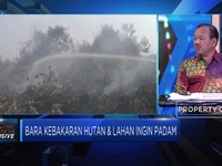 Musim Kemarau, 6 Provinsi Siaga Darurat Kebakaran Hutan