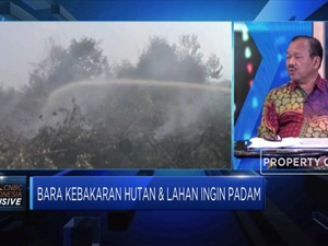 Musim Kemarau, 6 Provinsi Siaga Darurat Kebakaran Hutan