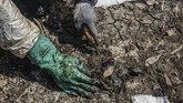 Petugas membersihkan sisa kebocoran minyak mentah Pertamina di kawasan ekosistem mangrove Desa Pantai Bahagia, Muaragembong, Kabupaten Bekasi, Jawa Barat, Selasa (6/8/2019). (ANTARA FOTO/Fakhri Hermansyah/wsj)