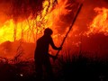 Menjaga 'Heart of Borneo' Tetap Berdetak