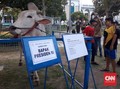 Jokowi Kurban Sapi 1 Ton di Surabaya