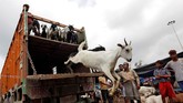 Idul Adha menjadi salah satu momen penting dalam kalender Islam, menandai puncak perayaan haji. (REUTERS/Rupak De Chowdhuri)