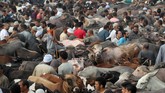 Penyembelihan hewan kurban berupa sapi, unta, kambing, atau domba menjadi penanda puncak perayaan Idul Adha. (REUTERS/Mohamed Abd El Ghany)