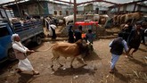 Muslim di seluruh penjuru dunia akan memperingati Idul Adha pada Minggu (10/8). (REUTERS/Mohamed al-Sayaghi??)