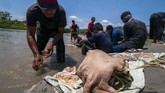 Umat Islam yang berkurban dapat lebih mendekatkan diri kepada Allah dan meningkatkan ketakwaan. Sejumlah warga beramai-ramai membersihkan jeroan daging hewan kurban di Sungai Palu, Sulawesi Tengah, Minggu (11/8/2019). (ANTARA FOTO/Basri Marzuki)