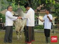 Jokowi Serahkan Kurban Sapi 1 Ton ke Kebun Raya Bogor