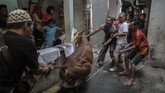 Salah satu keutamaan itu adalah ampunan untuk keluarganya. Suasana pemotongan hewan kurban di kawasan kelurahan Palmeriam, kecamatan Matraman, Jakarta, Minggu, 11 Agustus 2019. (CNN Indonesia/Bisma Septalisma)