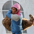 Unik! 11 Tradisi Idul Adha di Indonesia yang Berjalan Tiap Tahunnya
