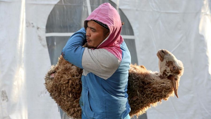 Perayaan Idu Adha di Kazakhstan (REUTERS/Pavel Mikheyev) A man carries a sheep for slaughtering during celebrations of the holiday of Kurban Ait, also known as Eid al-Adha, in Almaty, Kazakhstan August 11, 2019. REUTERS/Pavel Mikheyev