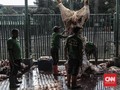 Global Qurban-ACT Tebar Manfaat Kurban ke Jutaan Penerima