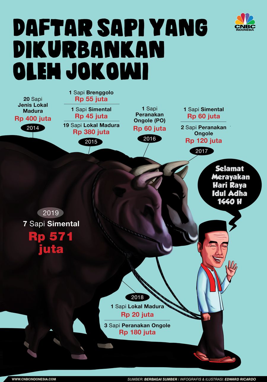 Ini Deretan Jenis Sapi Kurban Jokowi Selama Jadi Presiden RI Sapi jenis Limosin itu akan disembelih pada Minggu, 11 Agustus, besok.