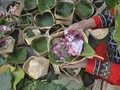 Ragam Wadah Unik Pengganti Bungkus Plastik Daging Kurban