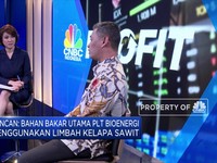 Hasilkan 1,9 GW, Pemanfaatan PLT Bioenergi Belum Maksimal